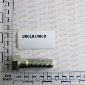 ZINC-PLATED SCREW