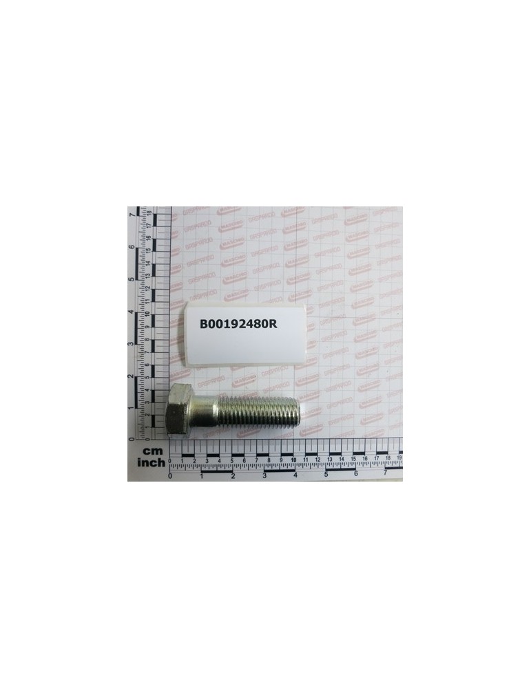 ZINC-PLATED SCREW