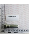 ZINC-PLATED SCREW