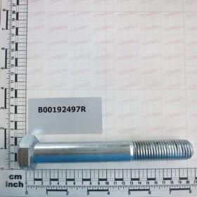 SCREW