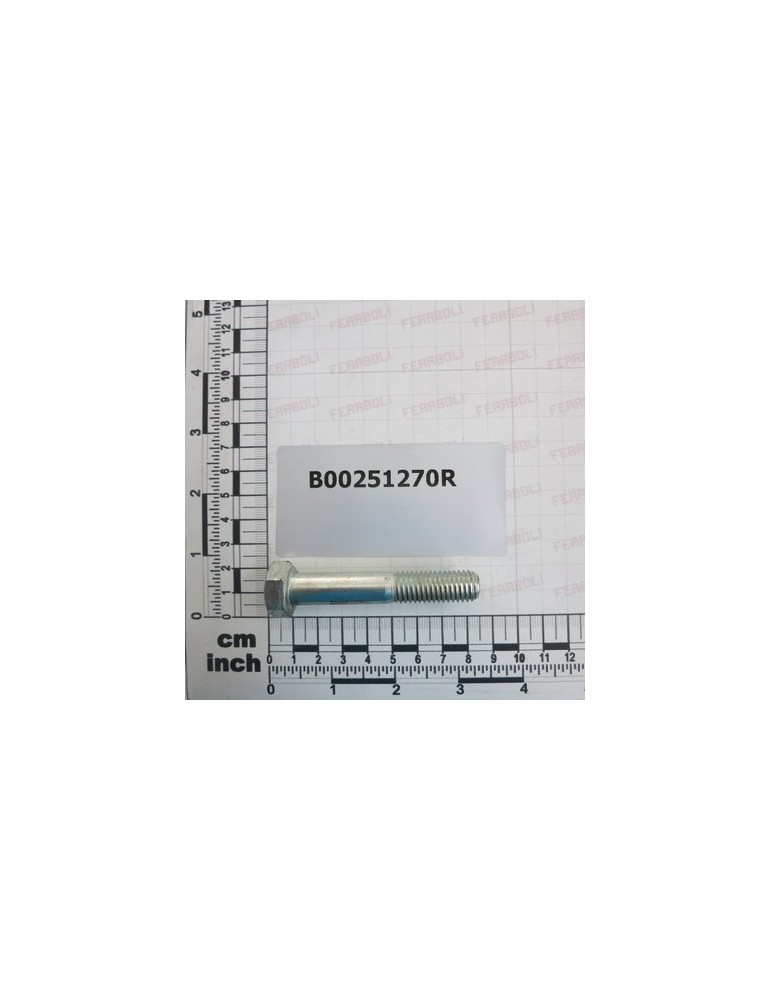 ZINC PLATED SCREW M12X70-10,9