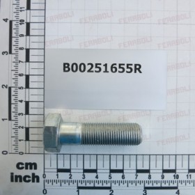 BOLT M16X1,5X55-10.9