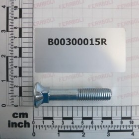 TSQST GALVANIZED SCREW M12X70