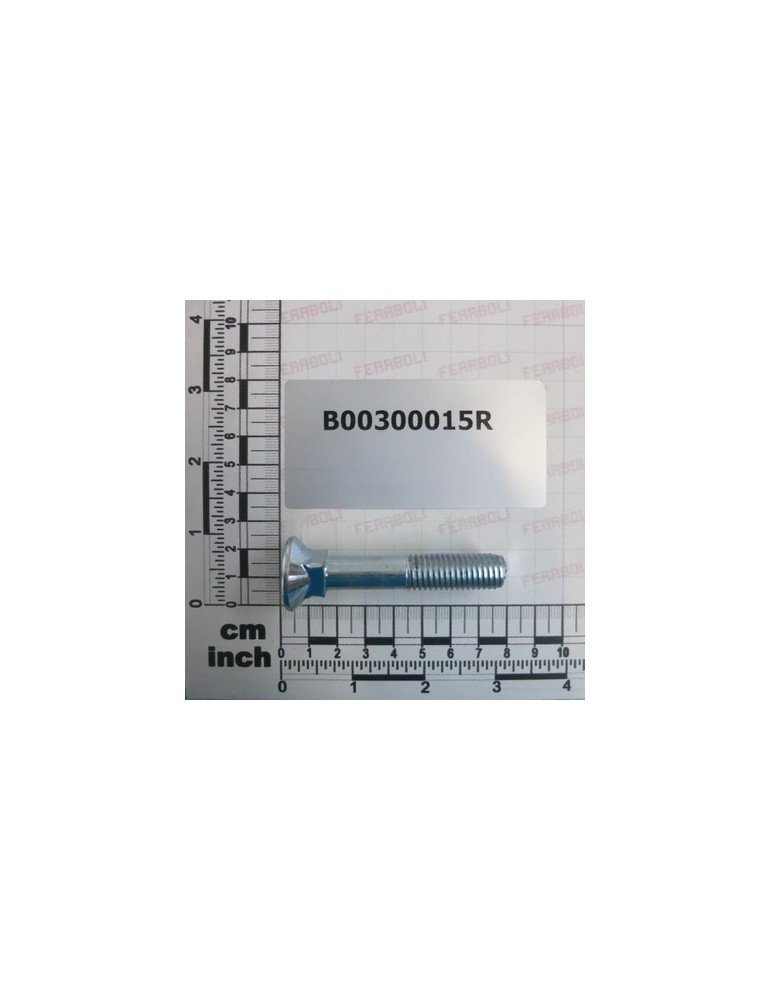 TSQST GALVANIZED SCREW M12X70