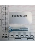 TSQST GALVANIZED SCREW M12X70