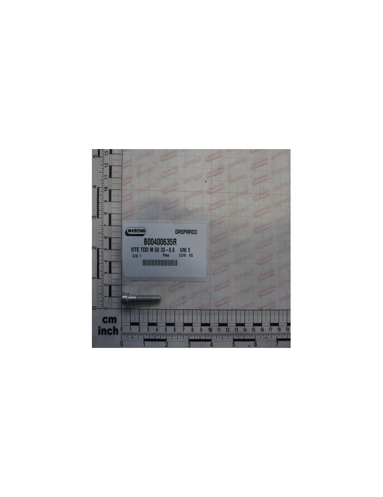 ZINC-PLATED SCREW