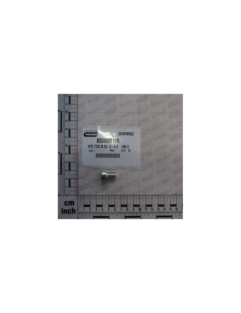 ZINC-PLATED SCREW