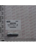 ZINC-PLATED SCREW