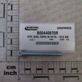 SCREW ZINC.TSPEI M8X70-10.9 UN