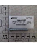 SCREW ZINC.TSPEI M8X70-10.9 UN