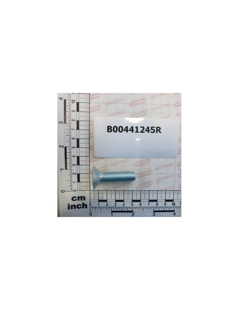 TSPEI ZINC PLATED SCREW