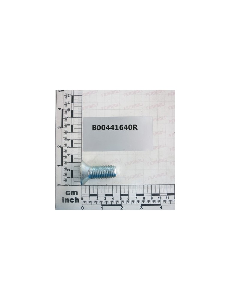 TSPEI ZINC PLATED SCREW