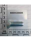 SCREW