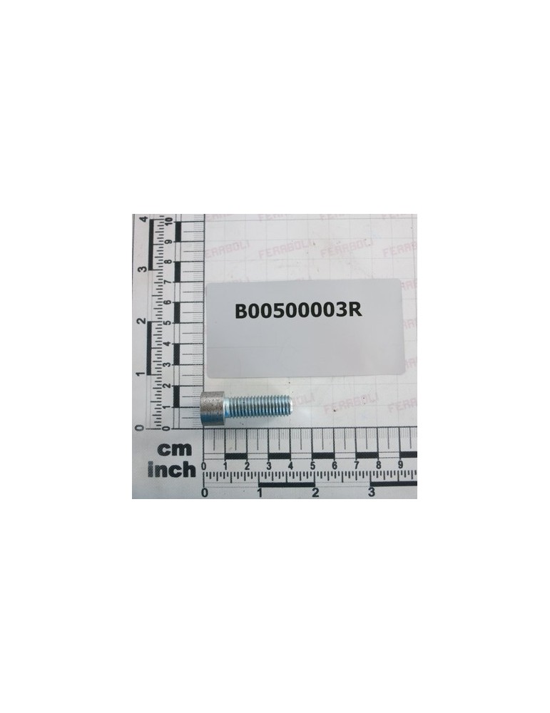 SCREW FOR BEARING