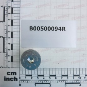 SPECIAL SCREW