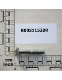 SPECIAL SCREW