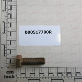 SPECIAL SCREW