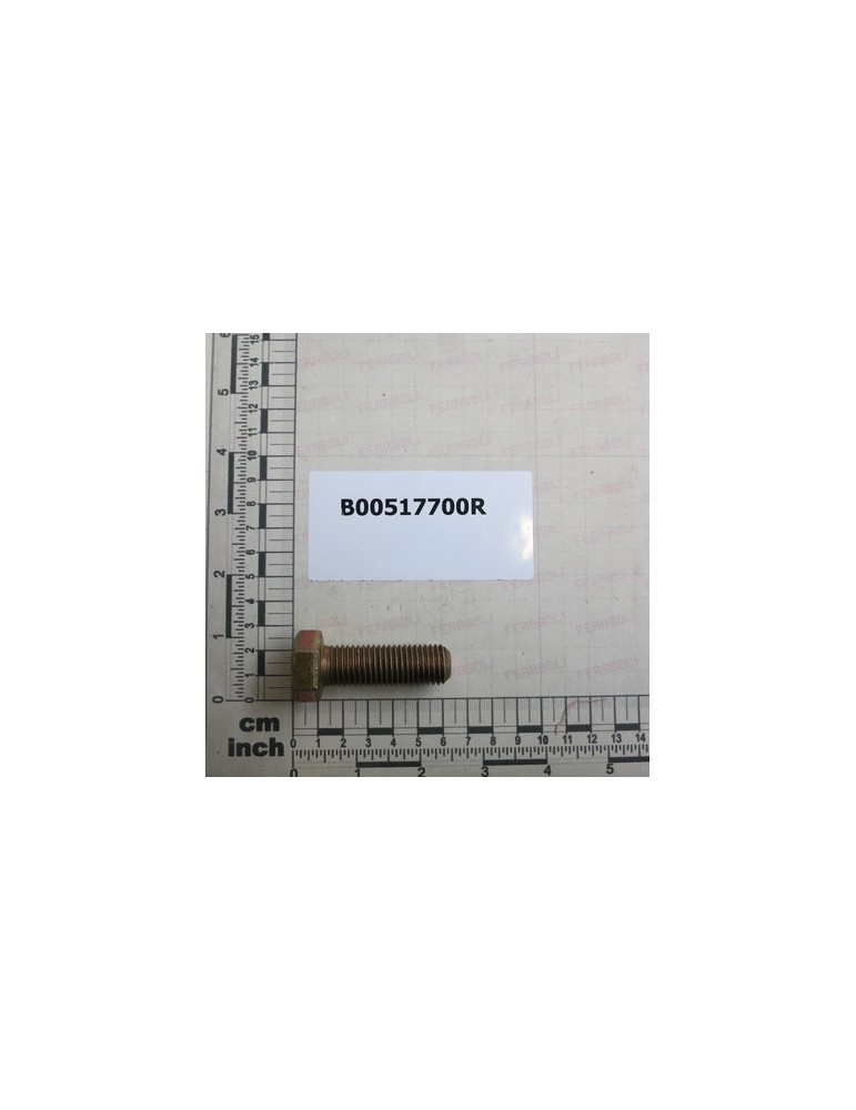 SPECIAL SCREW