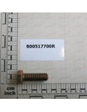 SPECIAL SCREW