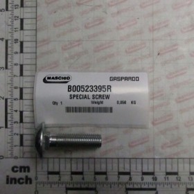 SPECIAL SCREW