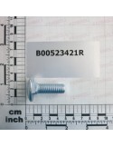 SPECIAL SCREW