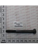SPECIAL SCREW