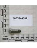 SPECIAL SCREW