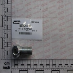 LOCKING SCREW