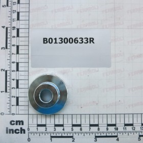 BUTTON FOR SPRING