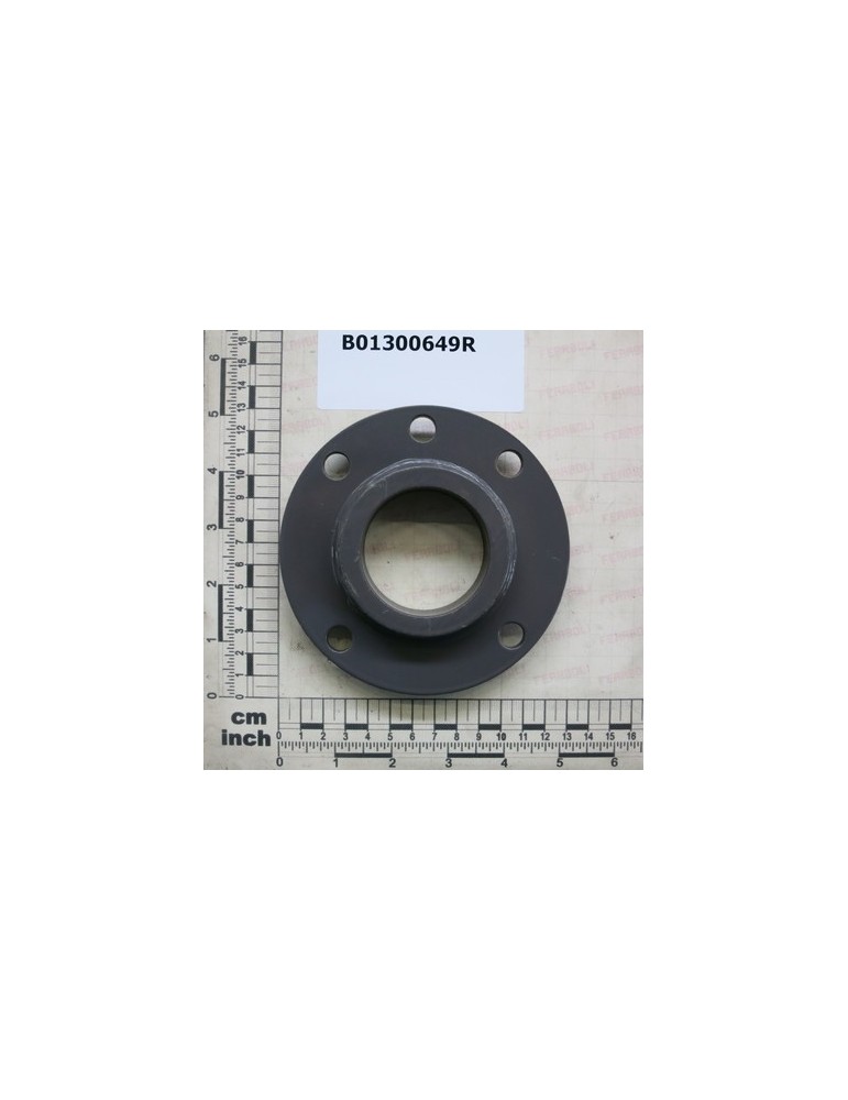 FLANGE