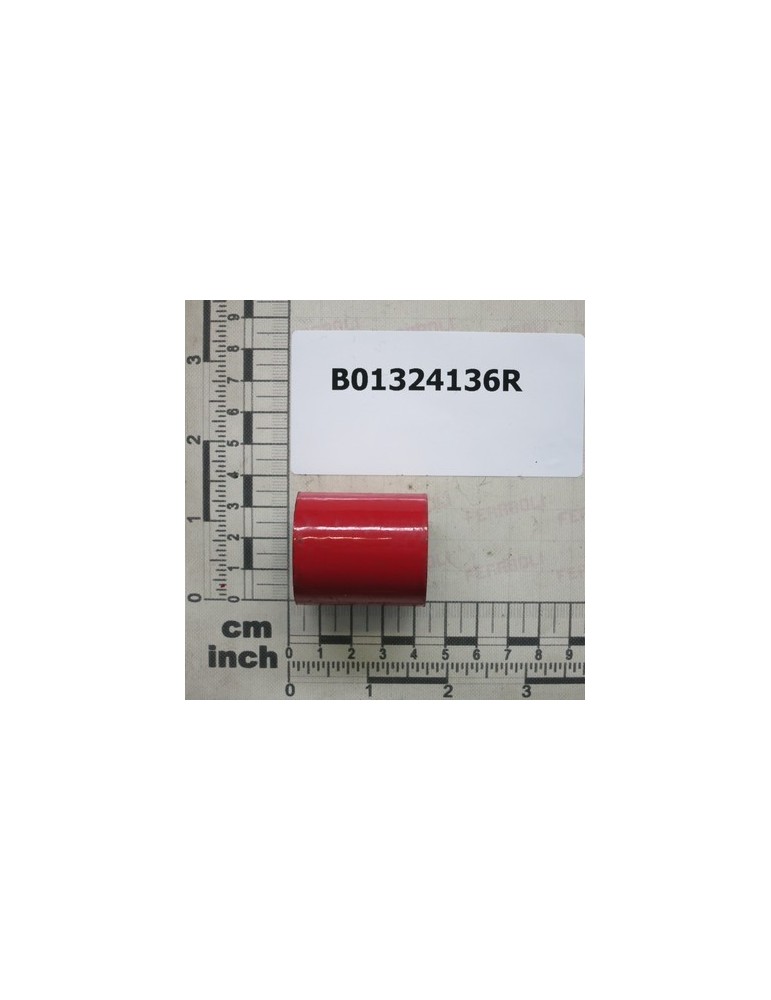BUSH
