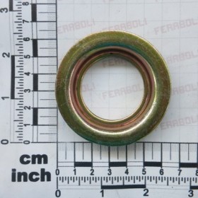 CAP