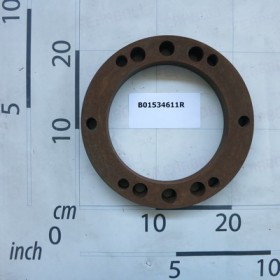 CASE RING