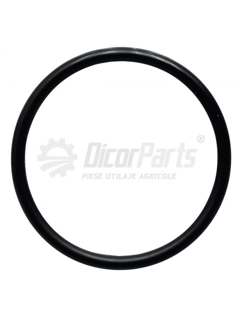 O-ring