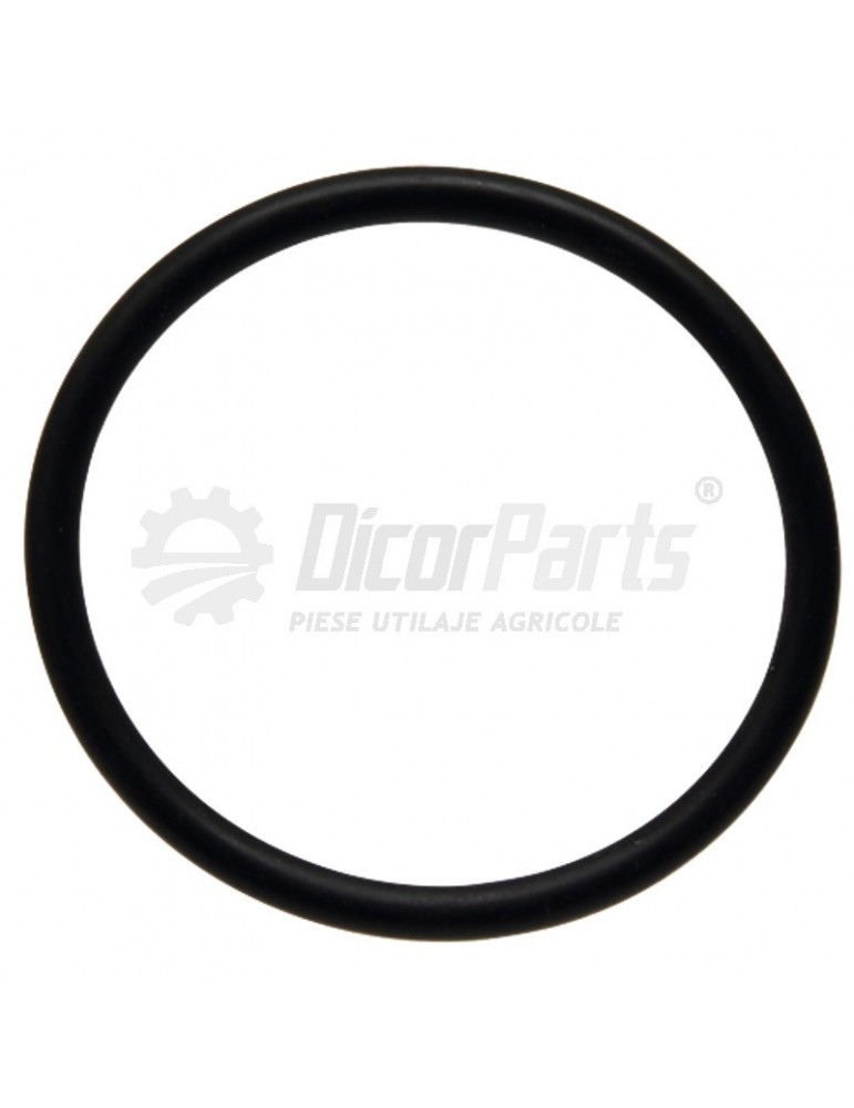 O-ring