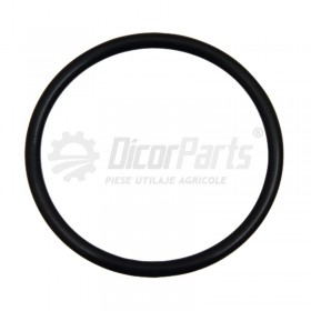 O-ring
