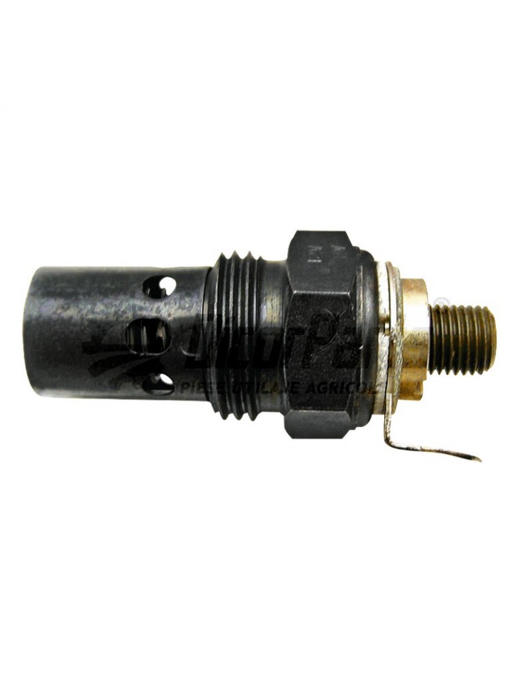 Bujie incandescenta