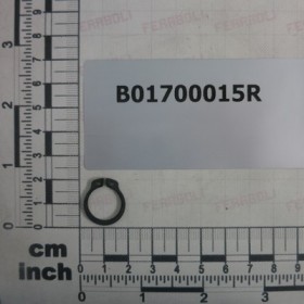 SEEGER RING