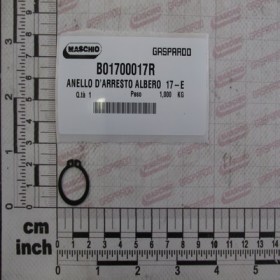 ANELLO D\'ARRESTO ALBERO  17-E.