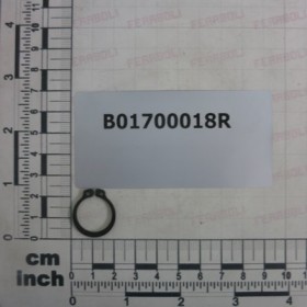 SEEGER RING