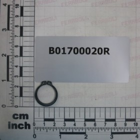 SEEGER RING