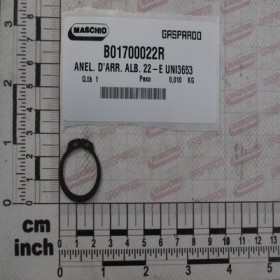 SEEGER RING
