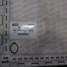 SEEGER RING