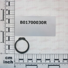 SEEGER RING