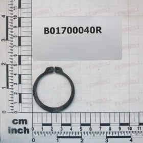 SEEGER RING