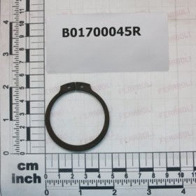 SEEGER RING