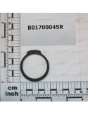 SEEGER RING