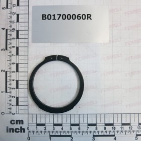 SEEGER RING