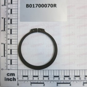 SEEGER RING