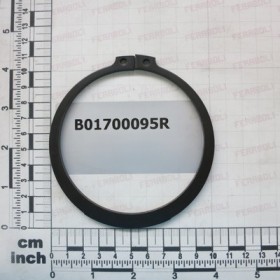 SEEGER RING